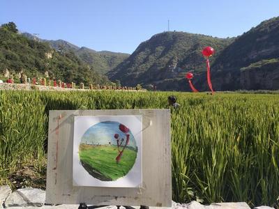 你可見(jiàn)過(guò)稻田里的藝術(shù)節(jié),就去紅旗渠敲鑼打鼓收稻子